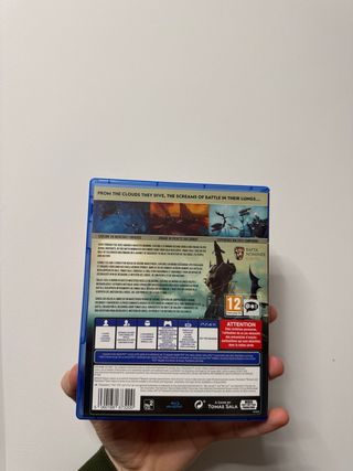 The Falconeer Warrior Edition PS4