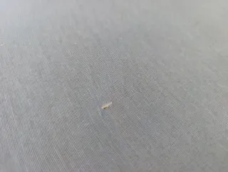 Tabla de planchar con soporte para plancha