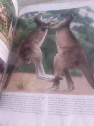 Enciclopedia de los animales. Mamíferos I. (Con...