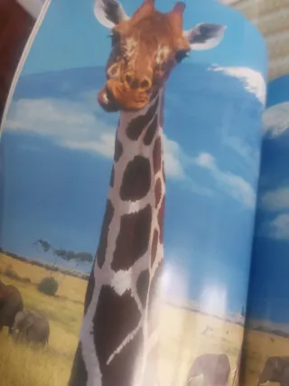 Enciclopedia de los animales. Mamíferos I. (Con...