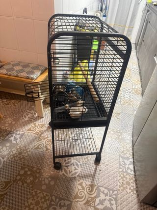Jaula para ninfas, loros, periquitos