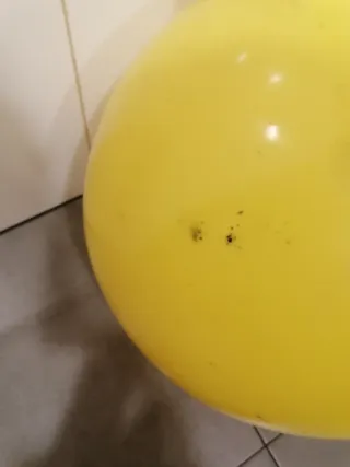 Niños:pelota saltarina de los Minion