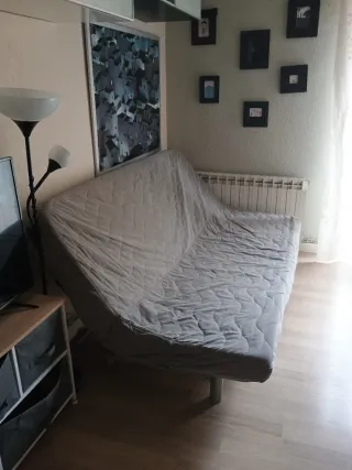 Sofá Cama 2 Plazas Gris