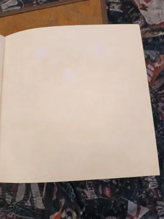 Album fotografico in pelle di quercia con valigett