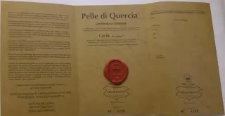 Album fotografico in pelle di quercia con valigett