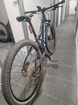 Bicicleta Trek Martín 6