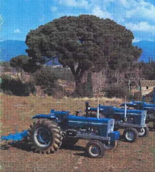 Limpieza de parcelas y fincas