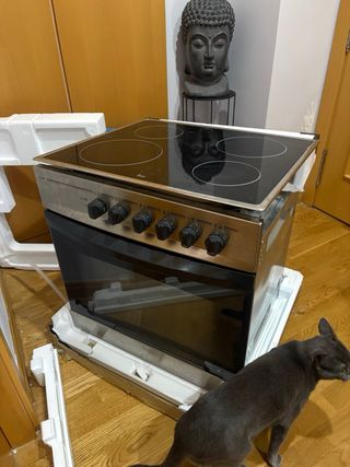 Vitrocerámica y horno