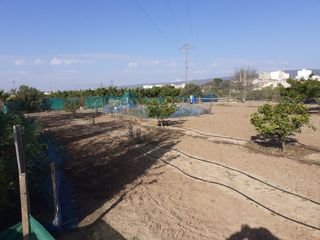 Terreno con caseta y porche