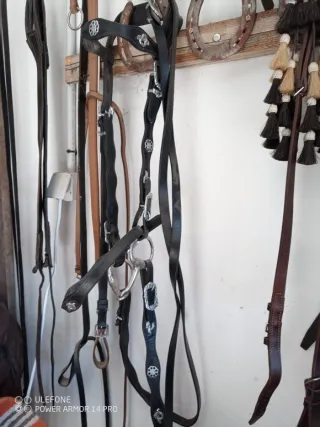 Cabezada de caballo con adornos