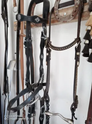 Cabezada de caballo con adornos