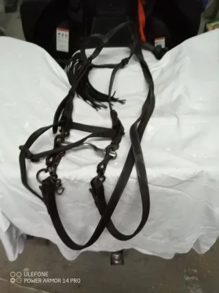 Cabezada de caballo con adornos