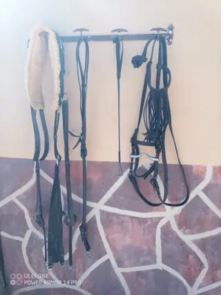 Cabezada de caballo con adornos