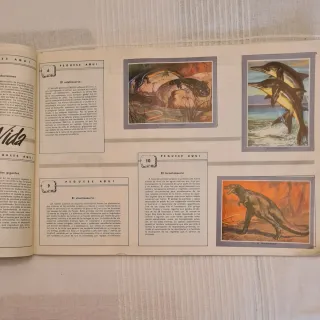 Álbum cromos Vida y Color 2 - Incompleto