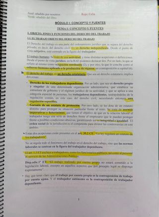 Apuntes Derecho Laboral