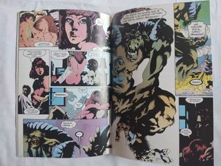 Cómic Deadman: Amor después de la muerte COMPLETA