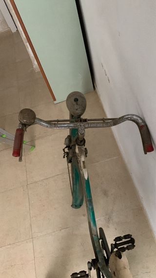 Bicicleta BH Gacela Especial