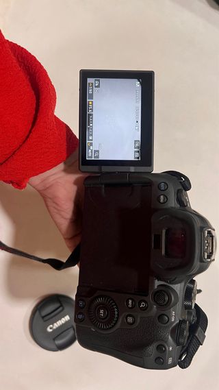 Canon R6 Mark II + RF 24-105mm F4-7.1 IS STM