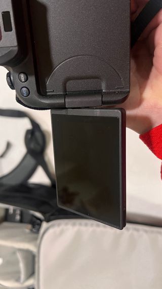 Canon R6 Mark II + RF 24-105mm F4-7.1 IS STM