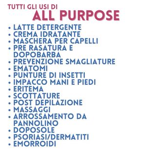All Purpose Stanhome 2 confezioni da 300ml l’una