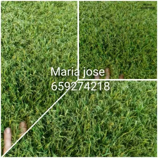 Césped artificial reciclado