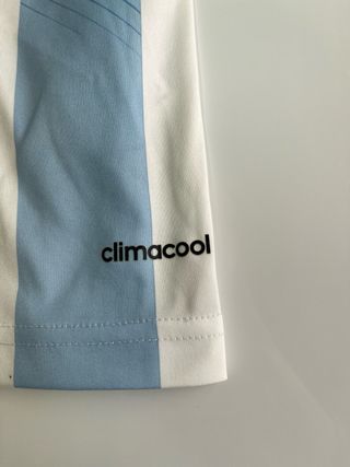 Camiseta Adidas Argentina 2014 Messi 10 mundial