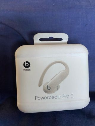 Beats Powerbeats Pro 2 Argento