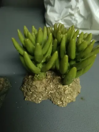 Piedra Calefactora para Terrario