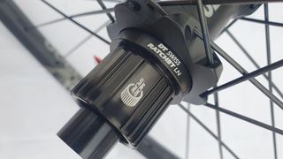 RUEDA TRASERA DT SWISS 29"