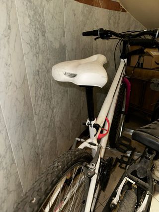 Bicicleta Freerider Blanca y rosa