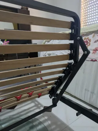 Cama eléctrica articulada