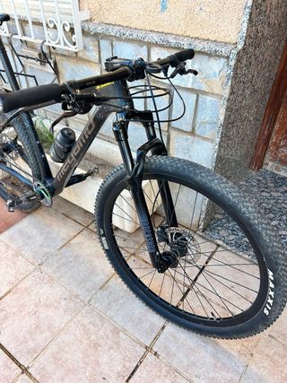 Megamo Factory 30 2022