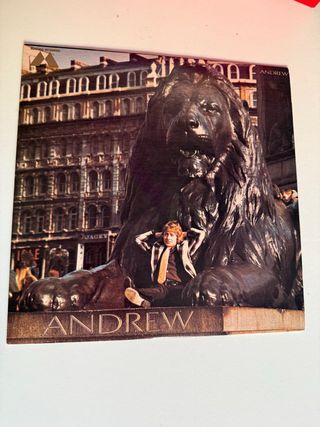 Vinilo Andrew - International Pop Rock