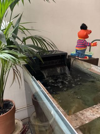 Acuario 450l con filtro Tetral 110