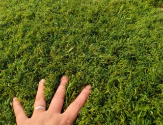 Césped artificial reciclado