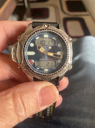 Citizen Aqualand Promaster Azul
