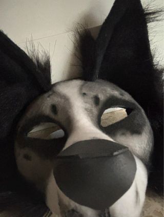 Máscara Therian Perro Border Collie