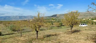 Preciosa parcela en Camara Alta