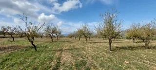 Preciosa parcela en Camara Alta