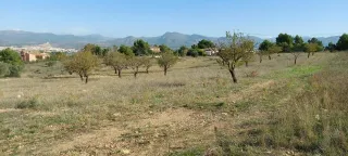 Preciosa parcela en Camara Alta