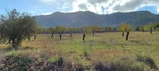 Preciosa parcela en Camara Alta