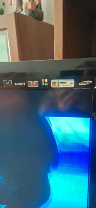Samsung TV 37 - Imagen defectuosa