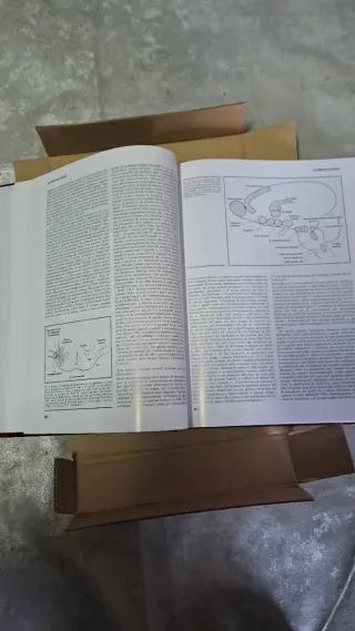 Enciclopedia medica italiana