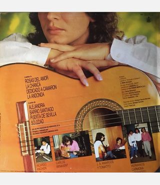 La Bella 2001 Flamenco - Cuerdas Media Tensión