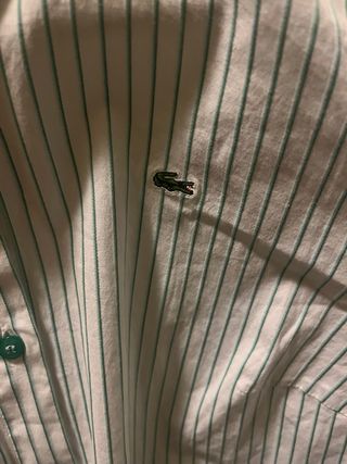 Camicia Lacoste a righe verdi taglia S