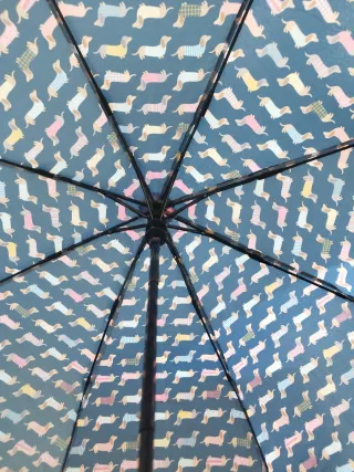 Paraguas perros salchicha azul