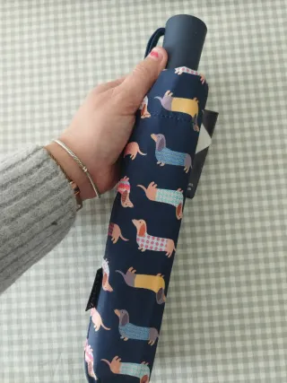 Paraguas perros salchicha azul