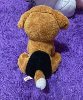 Peluche cane con grandi occhi