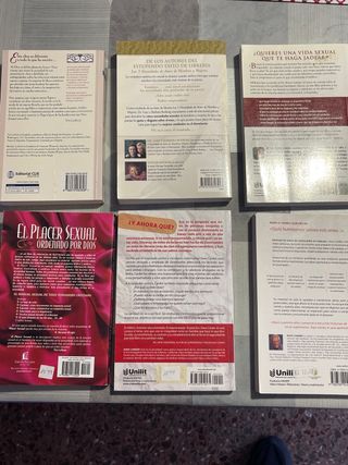6 libros cristianos temática sexual.