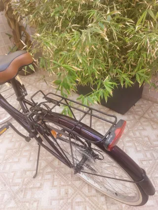 Bicicleta Paseo City6 con Ruedas 28